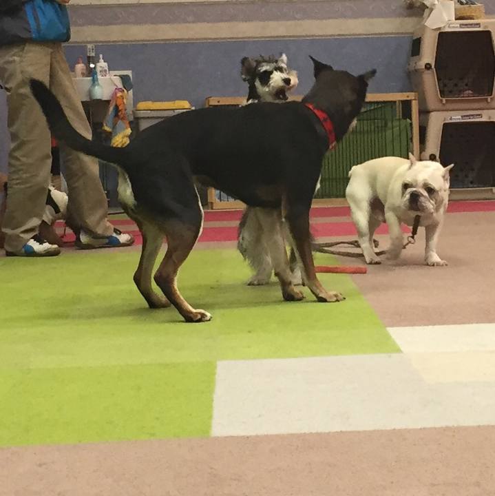 E4e818c8 3ff6 4858 ab55 ed63d402059d