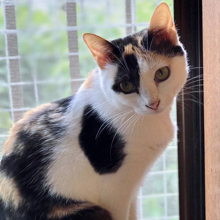 E4e86592 6b32 49d2 a296 096694140d3d