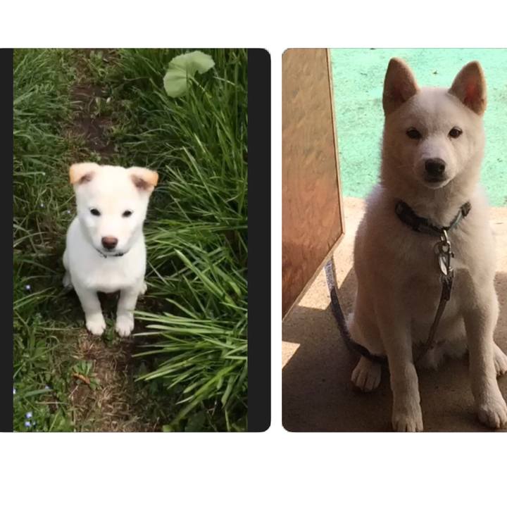 E4e9adf0 fea2 4af8 8b44 3f8470d048d9