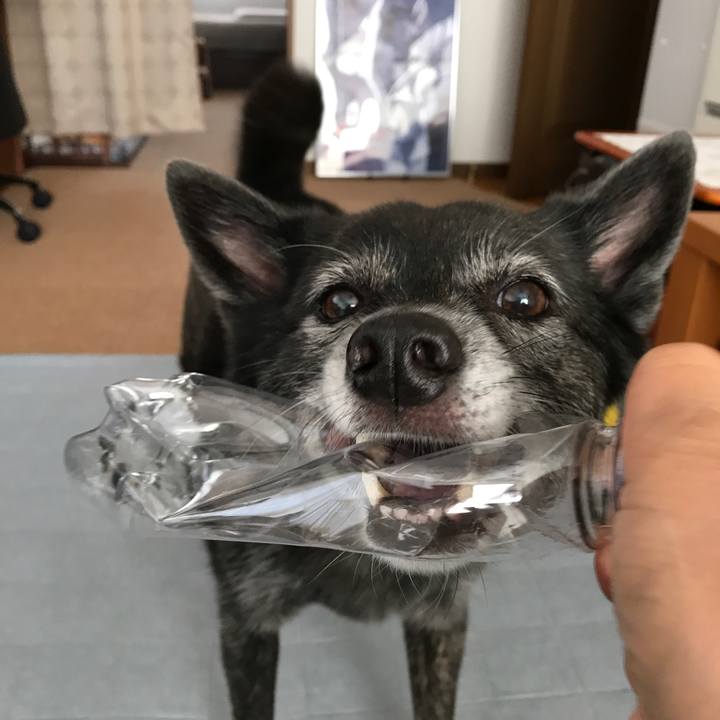 E4e9ce6e cc05 43bb 9843 3e0669480a1a