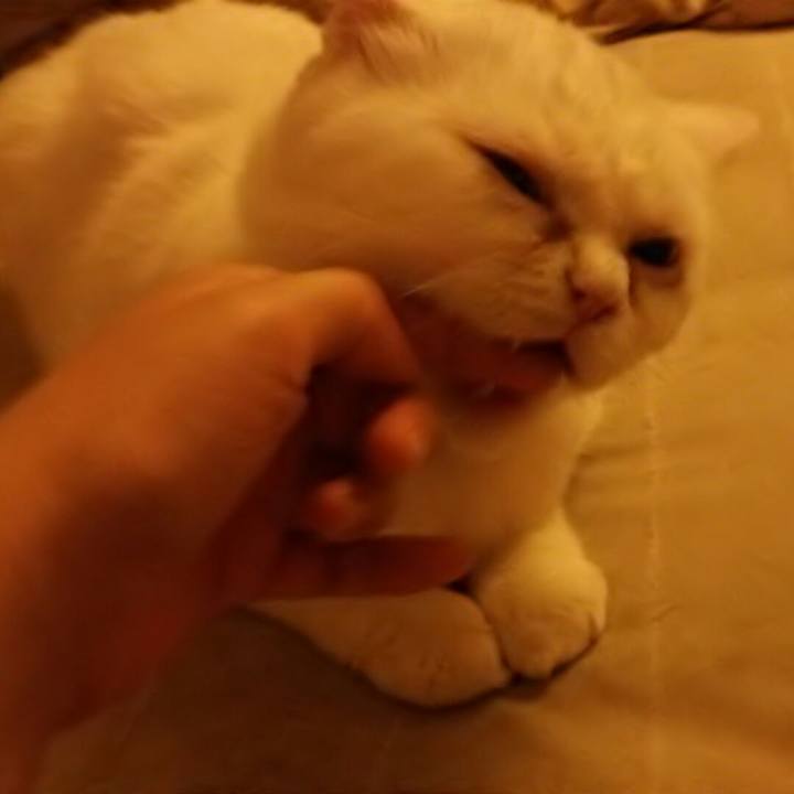 E4e9fb17 d4f8 474d 88a4 e4ca1c57cc89