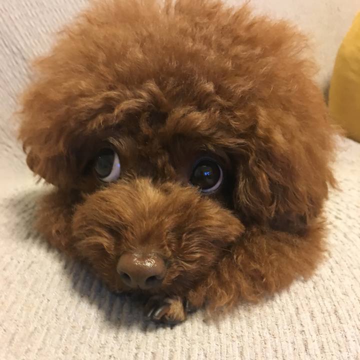 E4ea642f 2409 4374 92fc 1e37a0d6a250