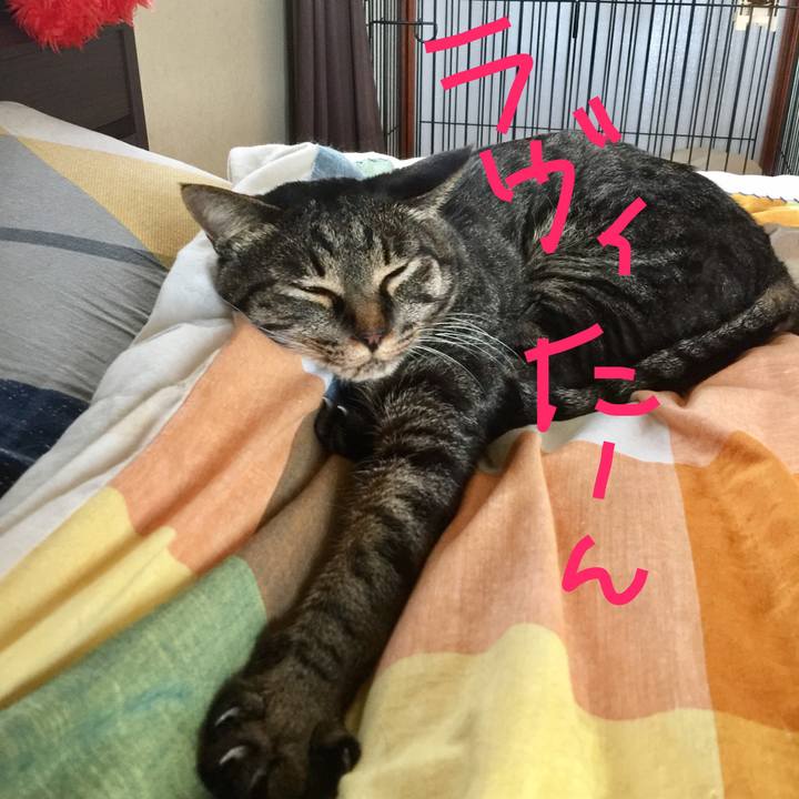 E4eba056 eeb4 480b 90a2 d7b53fd2248f