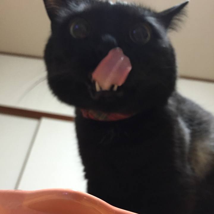 E4ebecc8 6da4 4e12 8b03 31e00d1ea2f7