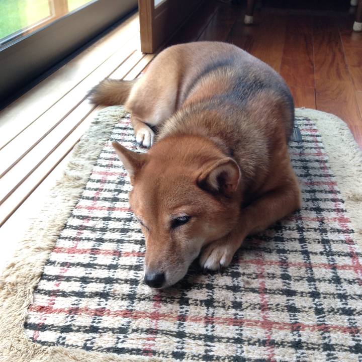 E4ec1539 0e79 4a21 9429 1ee03045fa8f