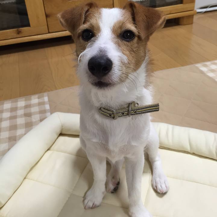 E4eca7ec fbf6 4c3c 9531 8fed266171f7