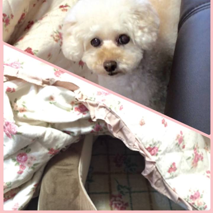 E4ecfff3 1bc5 42b1 b2f5 00fe42a207df