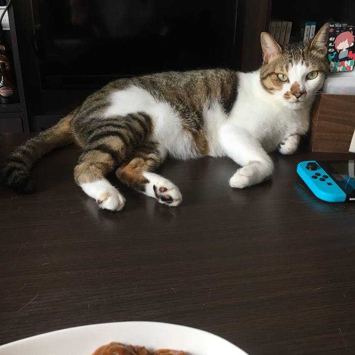 E4ed0593 4662 4876 bf45 08445f133c3e