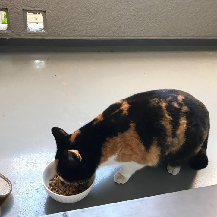 E4ed6fee 2582 495f 8098 c7c4148632d9