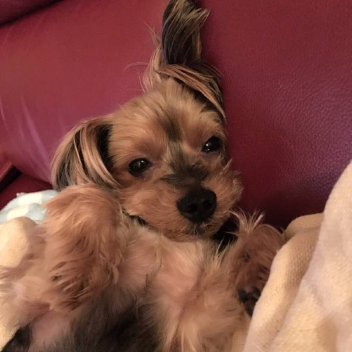 E4edb379 2bcd 43de 8ed3 fdf1d800e522