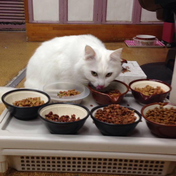 E4edcae7 0b61 4ee8 ab7d 3d4ba0b084ef