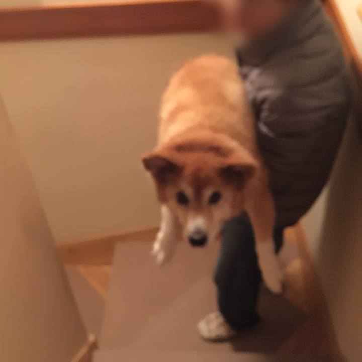 E4edd6b3 6785 41e9 8ea5 53b456216fd3