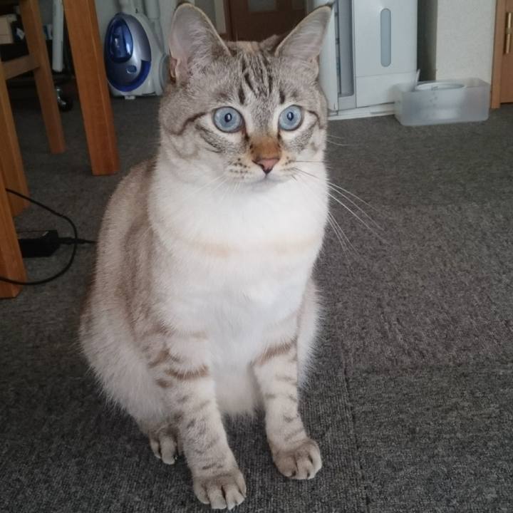 E4ef613d 9fc6 457b 9056 3097bd862c9d