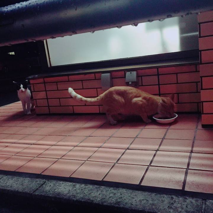 E4ef773c 8d42 4f48 8198 40ba804e5539