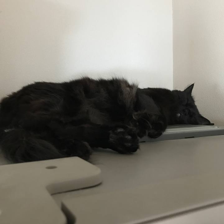 E4f01db1 f3ce 41d1 9a7b bd5ea0263a33