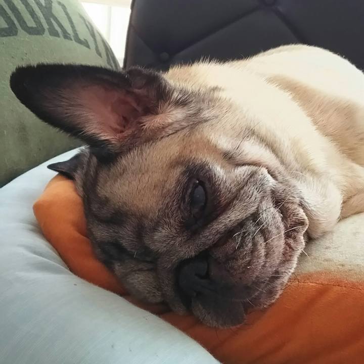 E4f042de 09b4 46fc a9aa d39a81e94f92