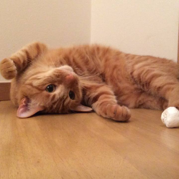 E4f0e456 dce3 43b9 9acd 6acfe484ff91