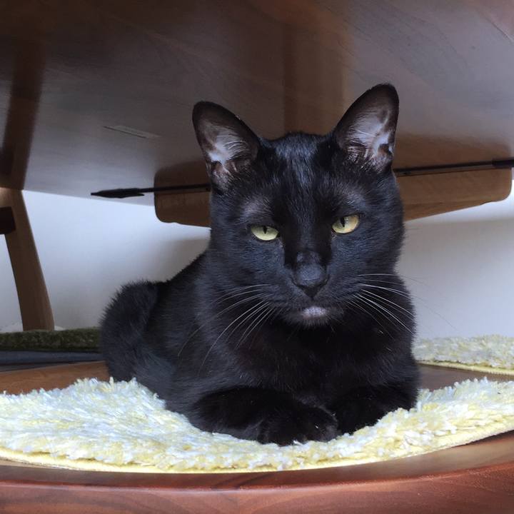 E4f11a1b a40e 4849 8cdd 504c302389f0