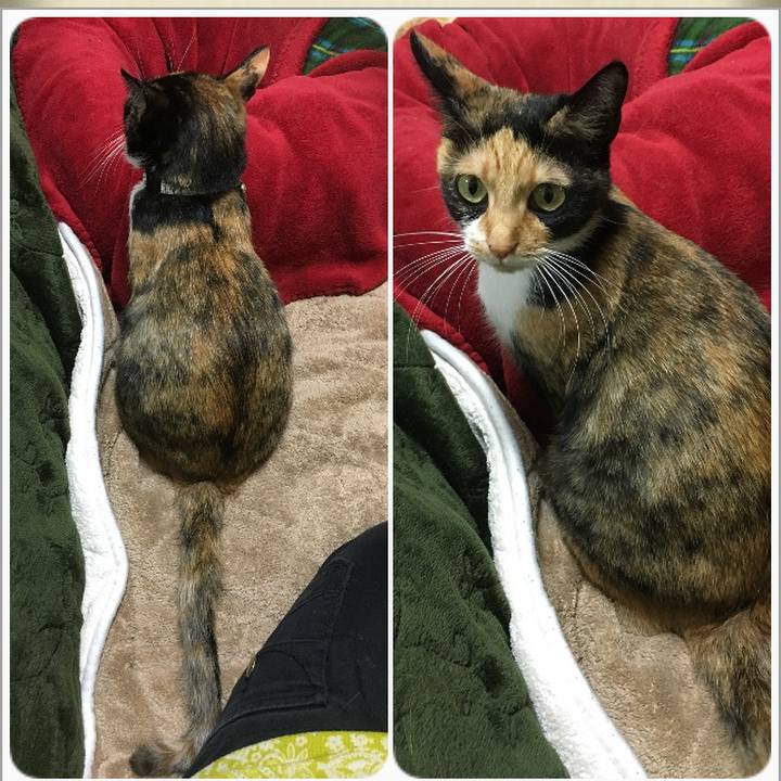 E4f124ad 1356 4bea b637 9962abda2686