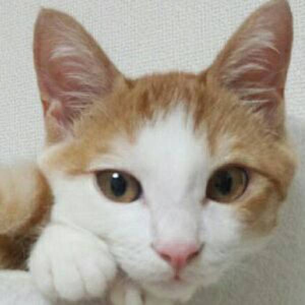 E4f12725 cab8 437e af92 70289dc0c701