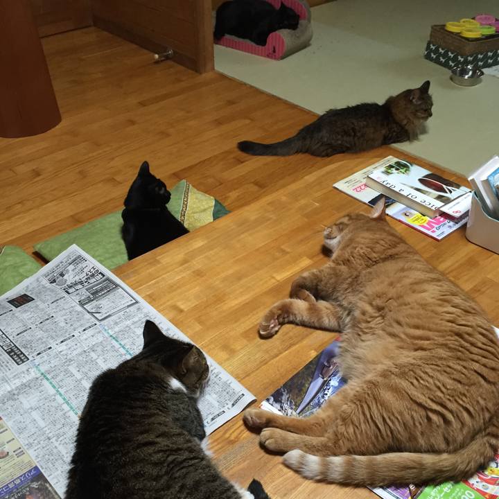 E4f14393 bbcc 4ba9 b40d e446ed3b367b