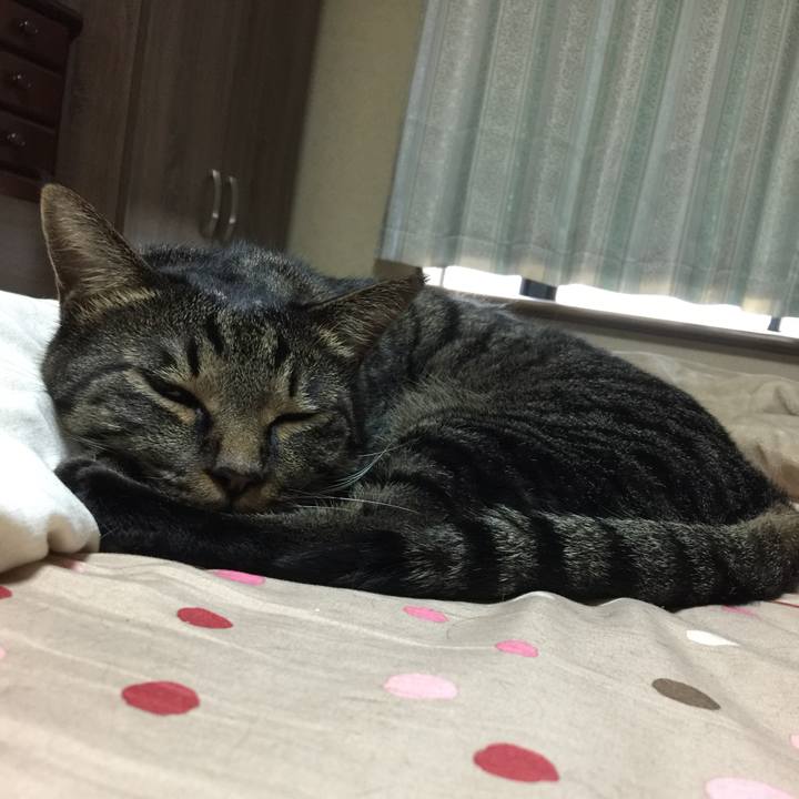 E4f14733 d6e7 4363 9330 3cf86ae009c7