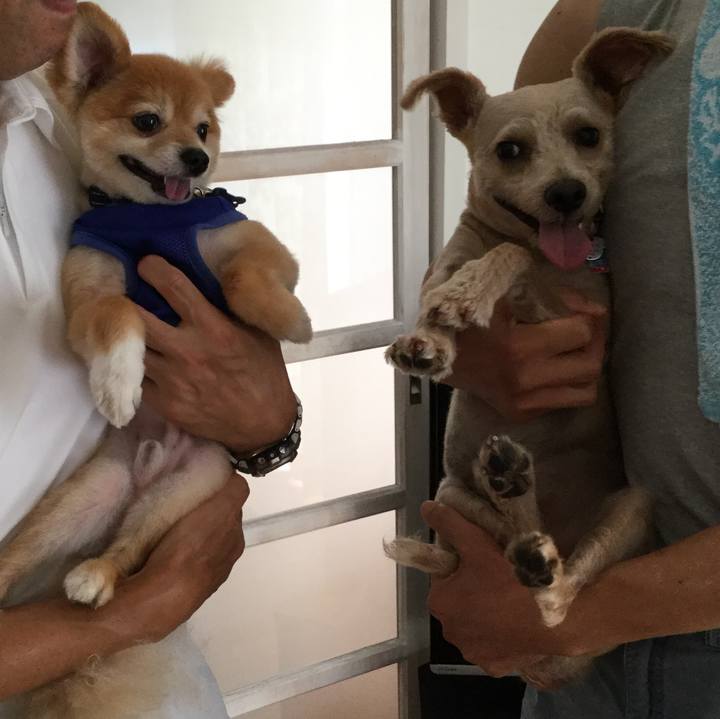 E4f1b0ce 8cda 43ff ad7a 7cc1b5dcb6aa