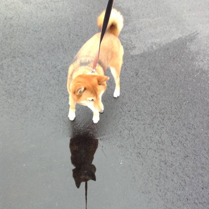 E4f1bd06 5043 417f 837f 3d722c5707f4