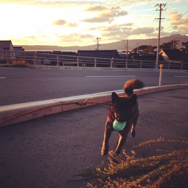 E4f22c8d 65a4 45f7 85b5 e1a999595fd7