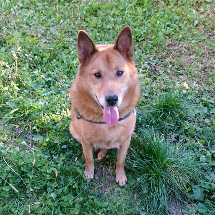 E4f2bbf2 1a90 46aa 9634 c436069861b8