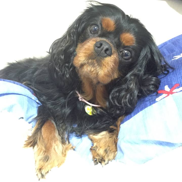 E4f2ca08 921e 4195 9945 4ae36ee5baa6