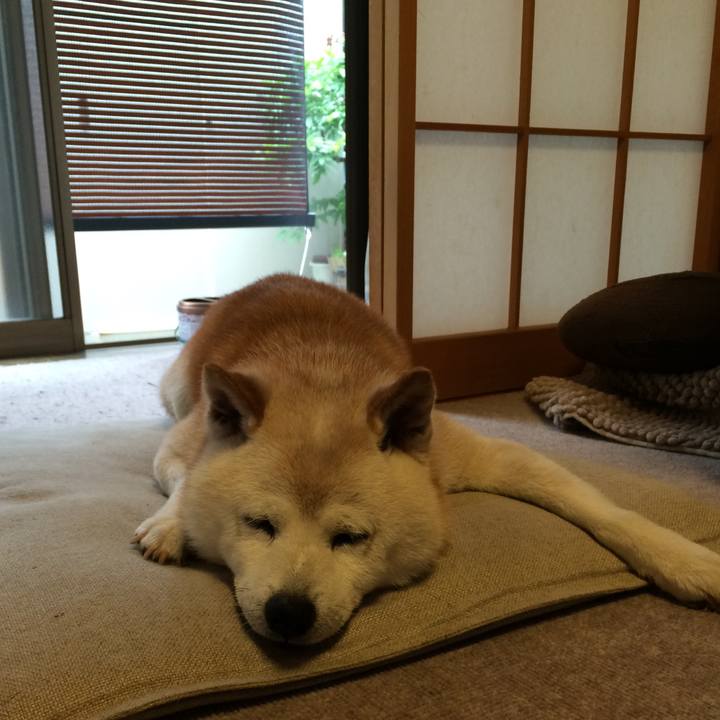 E4f321ff bce7 4da6 b8f3 f95a86b47285