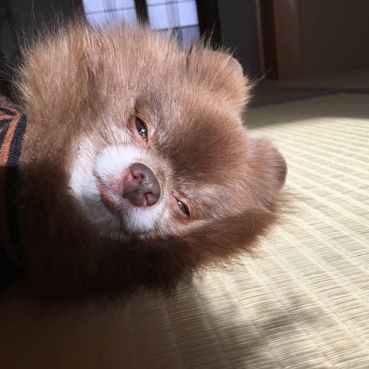 E4f32c7b 8bf8 4712 b719 46758d379867