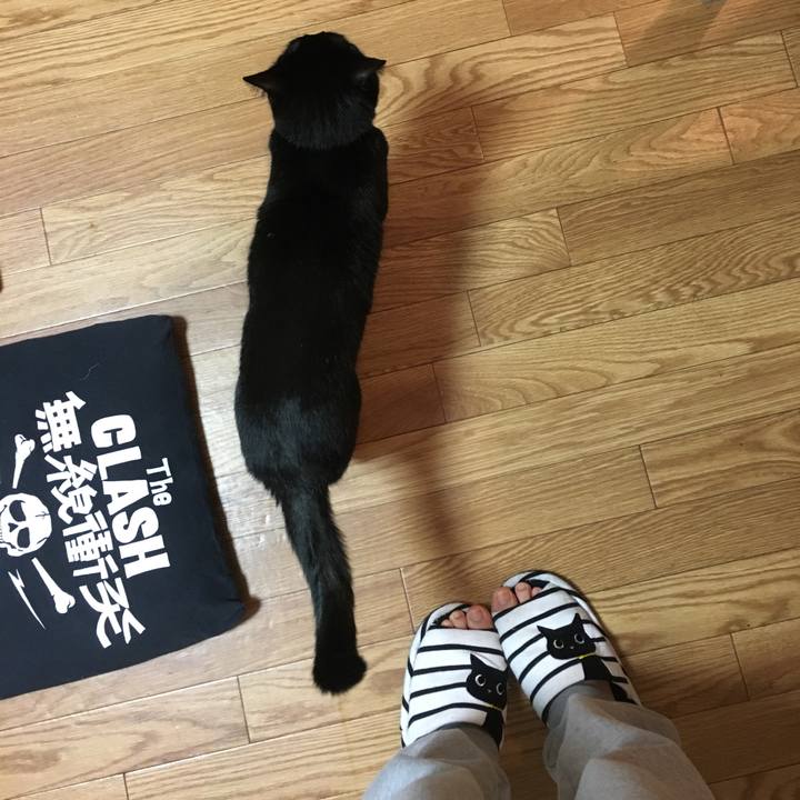 E4f3a802 e1f9 4807 8be3 3ab9f1db9dcf