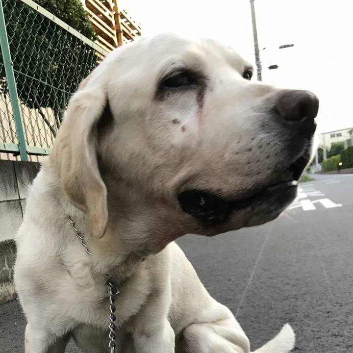 E4f427fe 8923 4cdc aa43 cf379059c108