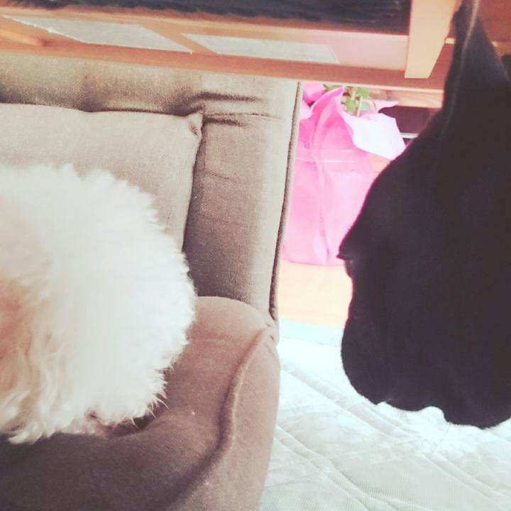 E4f47ec9 7a6c 438d a822 1281a50b0301