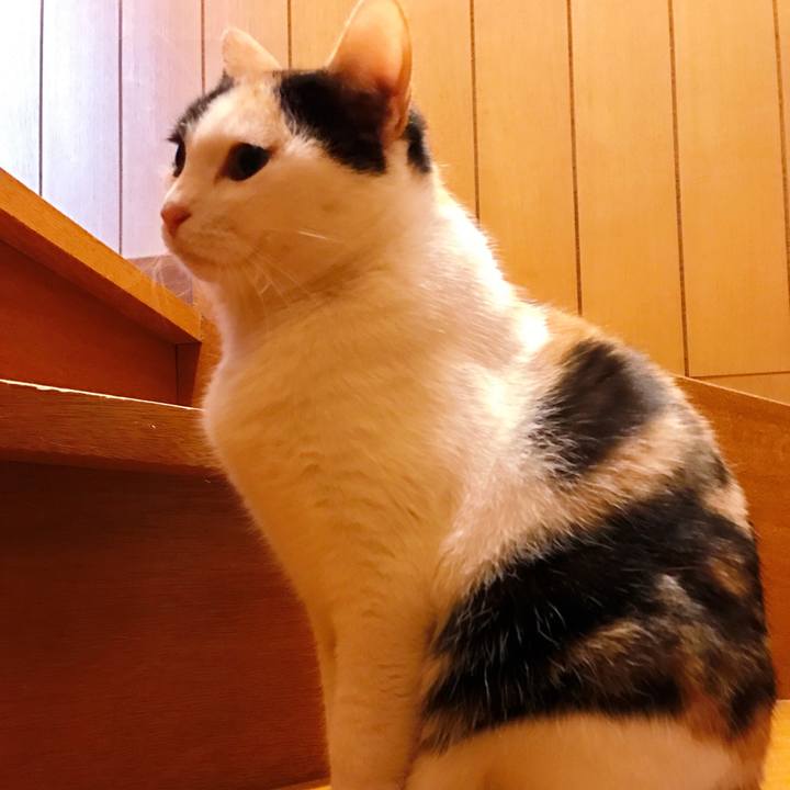 E4f494b6 87a9 4568 8579 7e5e0e882398