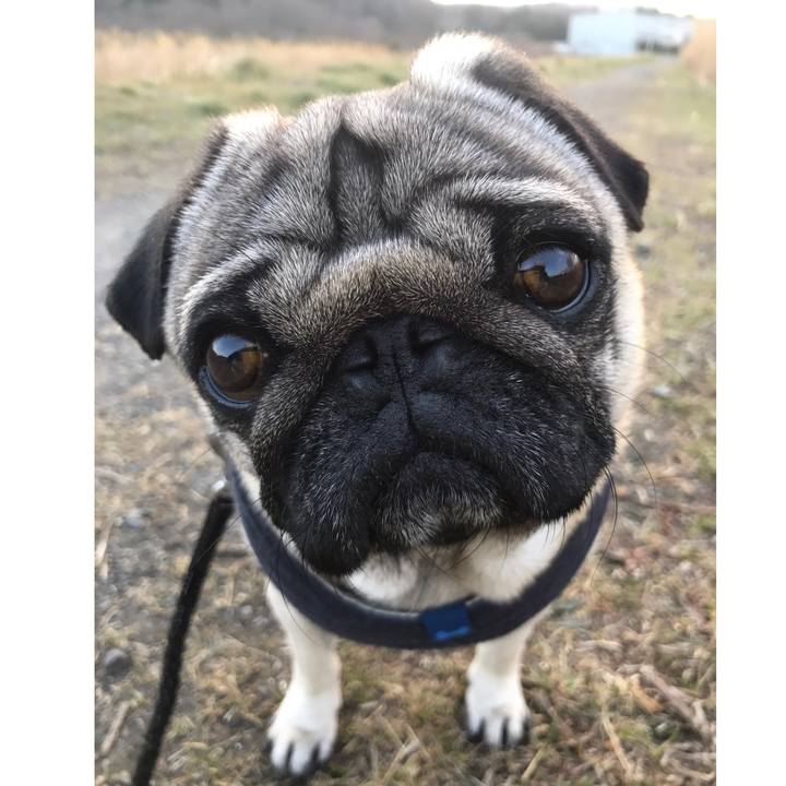 E4f4b362 42e5 4d88 8e96 b88e3126501c