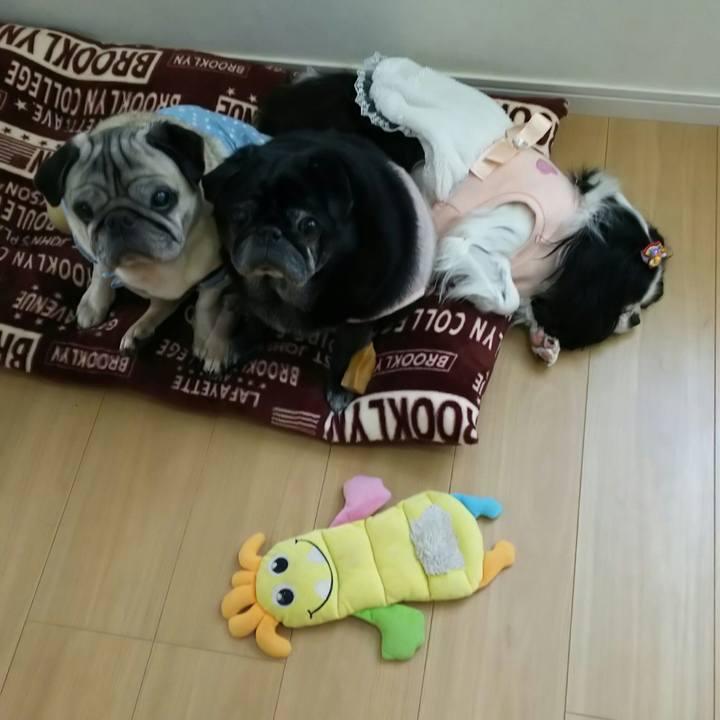 E4f53310 d213 485d 9491 ee3a73ce3f01