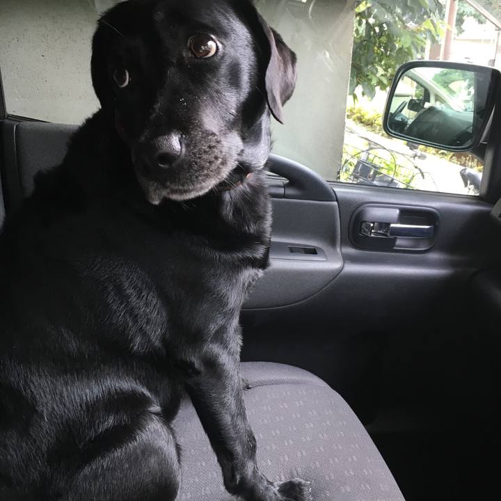 E4f58801 e318 4f31 b203 1b369c130351