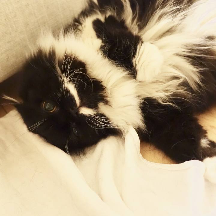 E4f78dee e34b 49a4 895d 38de4b5be235