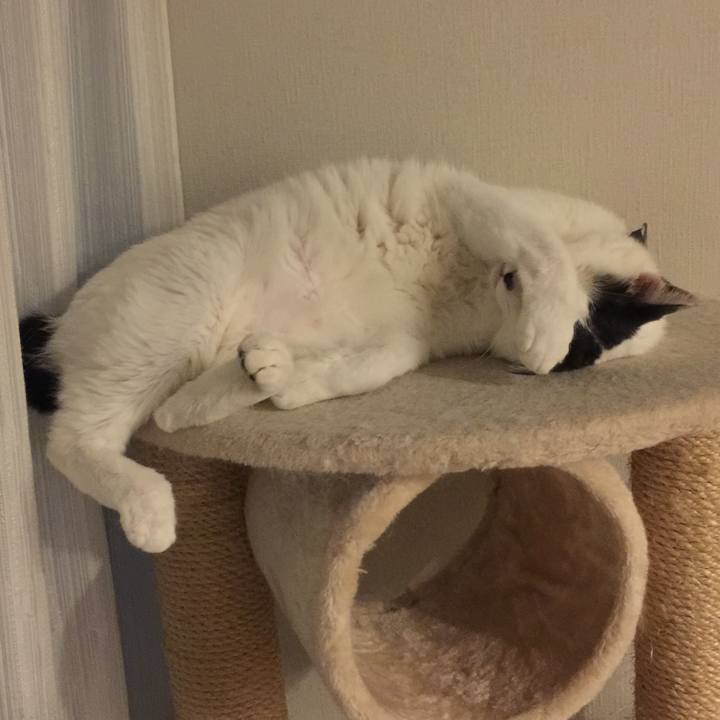 E4f7b9fe e2bd 498f 922f 576dd21973ea