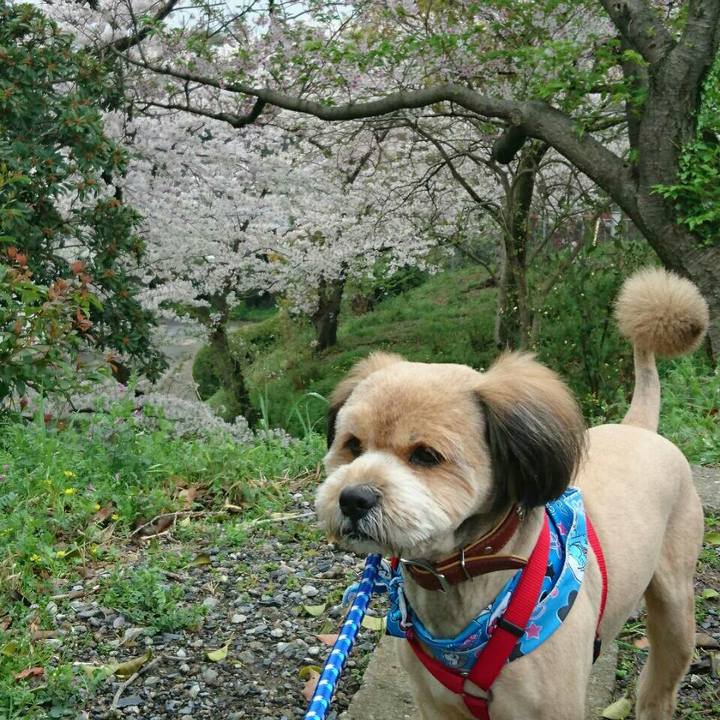 E4f7c112 04a0 4fe0 8595 1093fb03e676