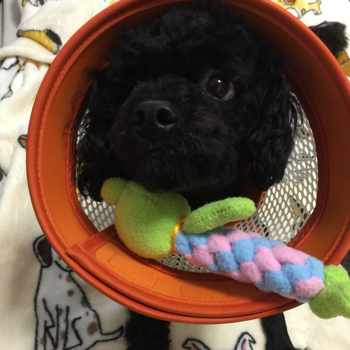 E4f7c9d2 4522 490b 8437 153ebfa5e901