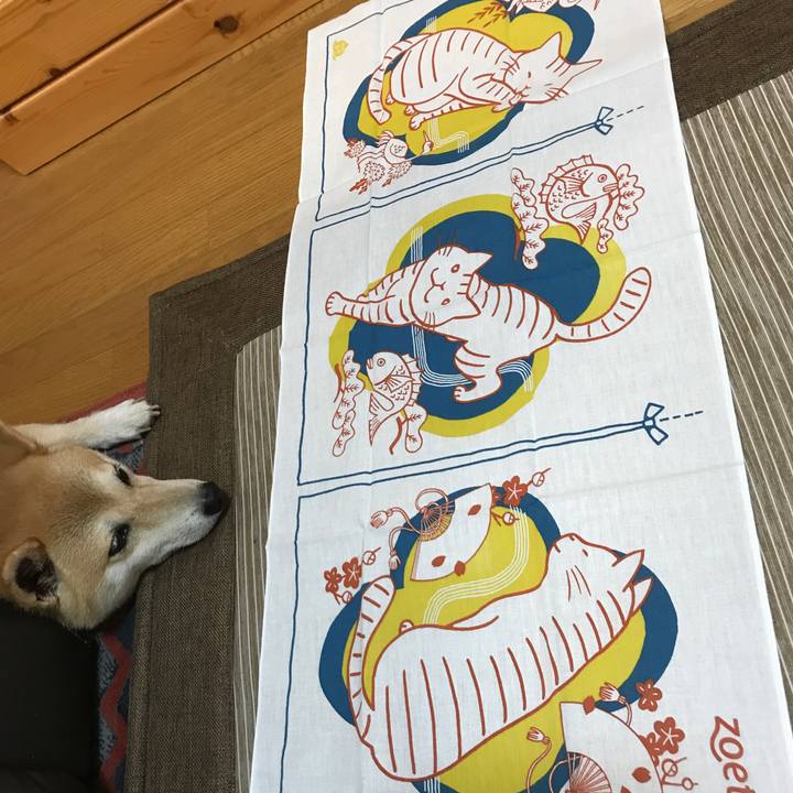 E4f7f1fe 0777 41d9 979a b84cd14cc1f3