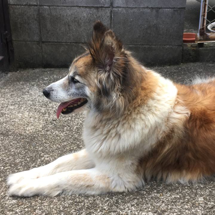 E4f880e8 b585 4aa2 bd21 df0f28c8654d