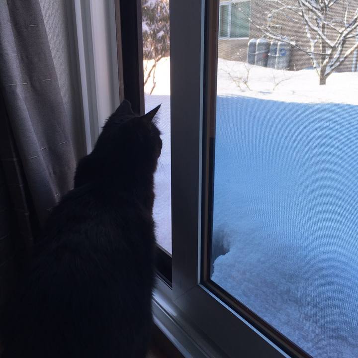 E4f8b5e7 42cf 4436 a20b 07fd57d36733