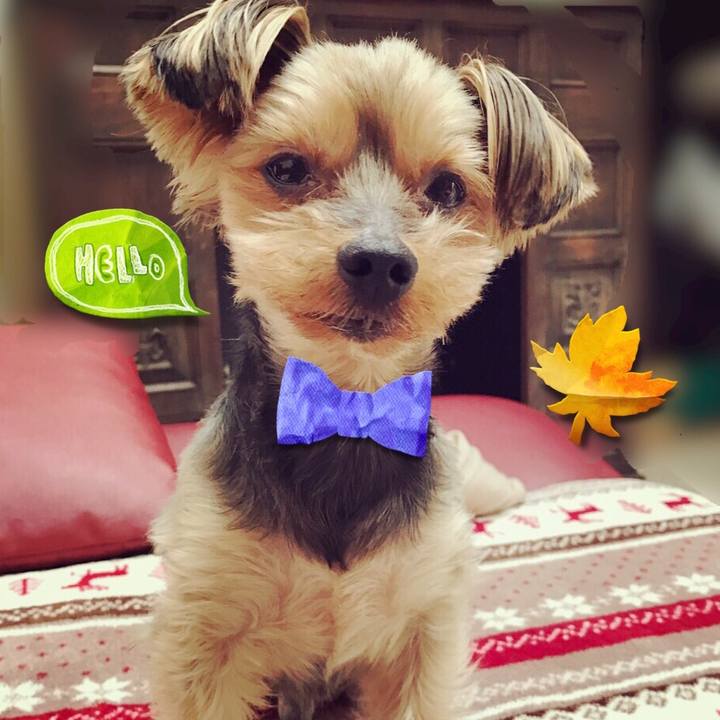 E4f8e92c 92dd 4f75 ab8b a203d80dc475