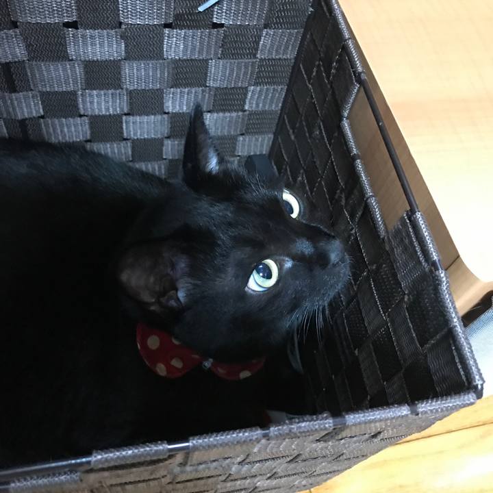 E4f931dd 86b5 42b0 be7a b7f3ae54d014