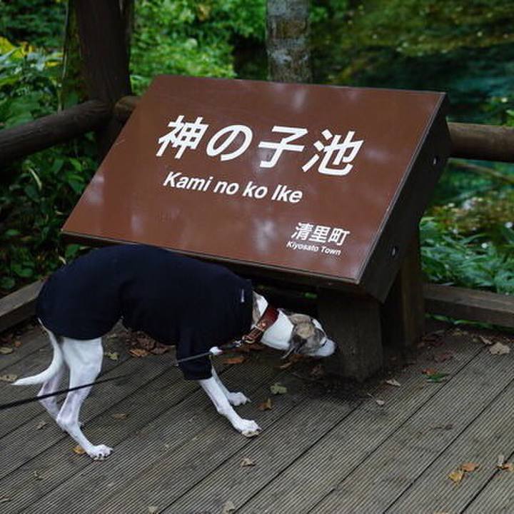 E4fafa3b b1df 4b6a a5e6 6c49470c4880